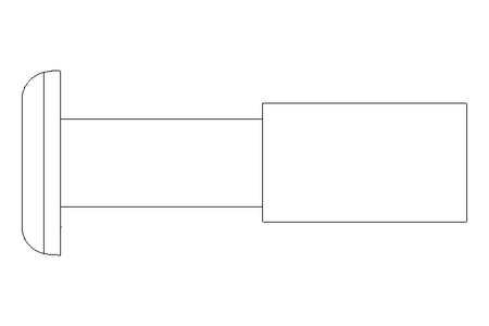 Rivet aveugle 4,8x24,4