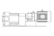 Kreiskolbenpumpe Waukesha Typ U2 - 320