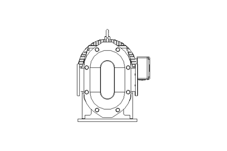 Kreiskolbenpumpe Waukesha Typ U2 - 320