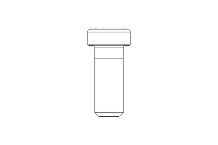 Zyl-Schraube M12x30 A2 70 DIN7984