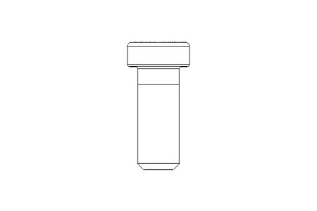 Zyl-Schraube M12x30 A2 70 DIN7984