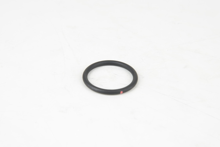 SEALING RING  31,42X2,62 EPDM