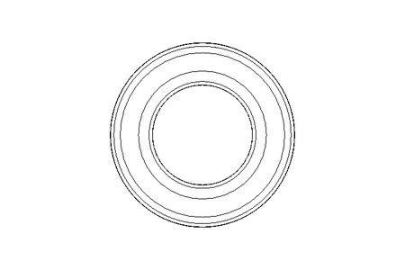 Deep groove ball bearing 6006 2RS 30x55