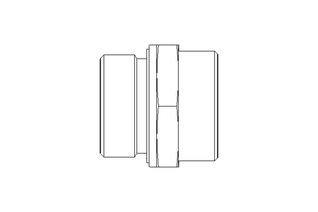 Einschraubstutzen L 35 G 1 1/4" St