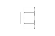 Tapered plug with nut L 22 St ISO8434