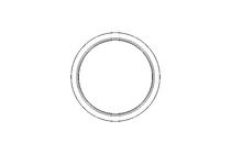 Anello di tenuta Glyd Ring RG 38x45,5