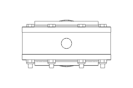 Vanne papillon B DN150 FVF AA E