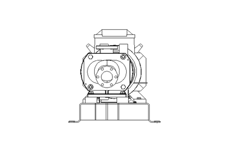 Schraubenspindelpumpe