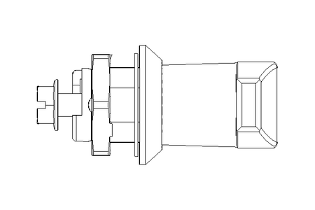 Drehriegel mit Knebelgriff