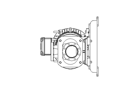 Schraubenspindelpumpe