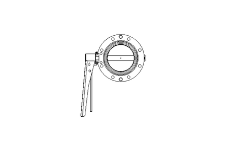 Butterfly valve B DN080 OVO MA E D2