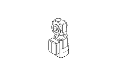 Worm gear motor 0.37kW 48 1/min