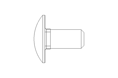 Round head screw M12x25 A2 DIN603