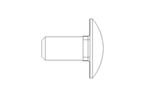 Round head screw M12x25 A2 DIN603