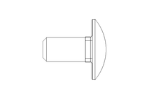 Round head screw M12x25 A2 DIN603