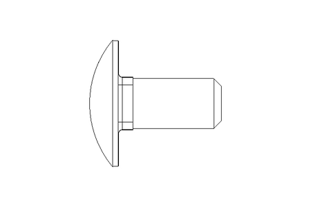 Round head screw M12x25 A2 DIN603