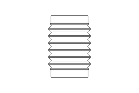 SOUFFLET / ACCORDEON