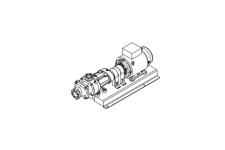 Schraubenspindelpumpe