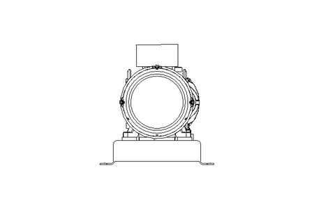 Schraubenspindelpumpe