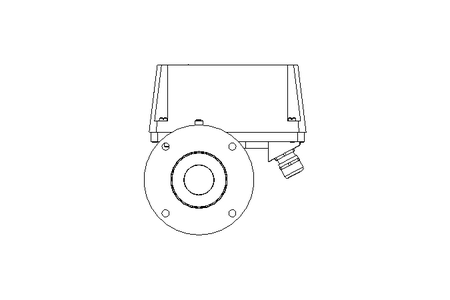 Schwebekörper-Durchflussmesser DN65