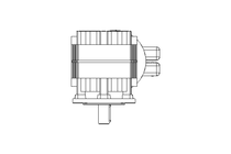 GEAR MOTOR