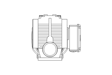 螺杆齿轮速电机 0,55kW 19 1/min