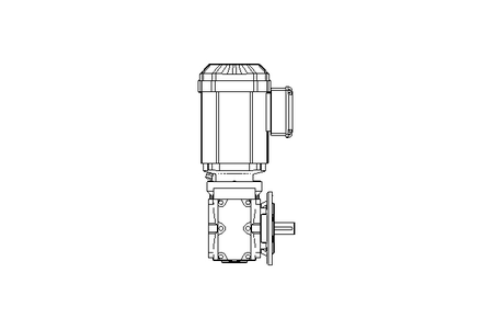 螺杆齿轮速电机 0,55kW 72 1/min