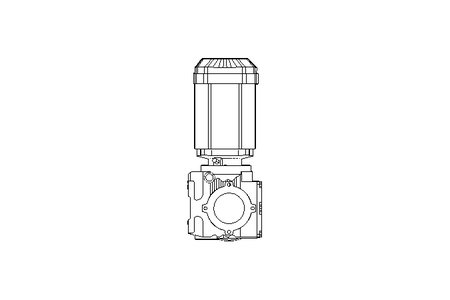 螺杆齿轮速电机 0,55kW 72 1/min