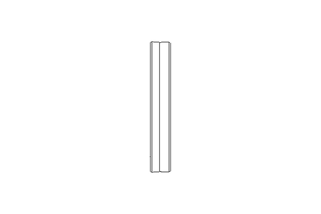 Nutring RS01A 38x46x7 PUR