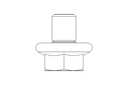 Hexagon screw M5x6 A2 DIN EN 1665