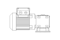 Motoriduttore 0,18kW 41 1/min