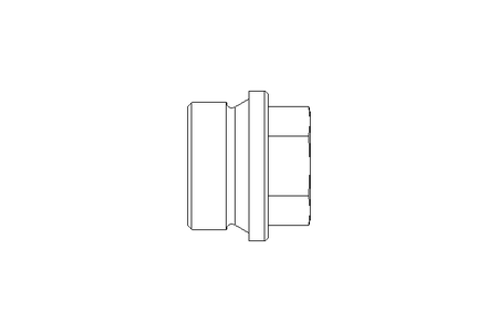 SCREW PLUG G1 A2 DIN 910