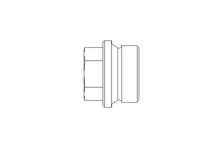 Verschlussschraube G1 A2 DIN 910