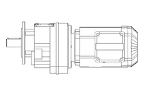 Stirnradgetriebemotor 0,55kW 48 1/min