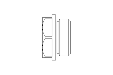 Ölschauglas G1/2 Edelstahl