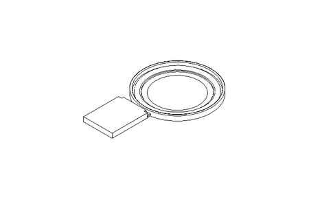 Berstscheibe DN80 150°C 5,5bar PTFE