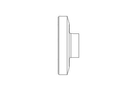 Threaded stub DN100&DN50 1.4404 DIN11851