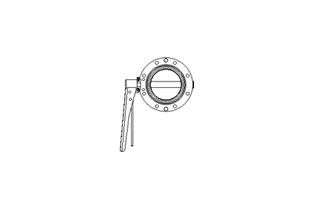 Butterfly valve B DN080 OVO MA V