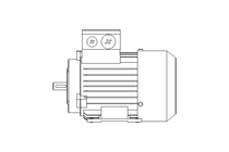 3-PHASE MOTOR