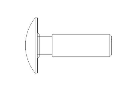 Vis à tête bombée M12x40 A2 DIN603