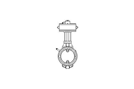 CLAPET D'ARRET-PNEUMATIQUE DKZ 110 APS