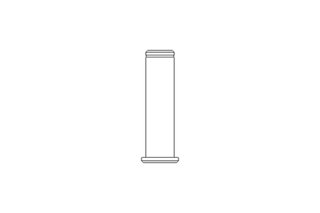 Lagerbolzen D=16,2/17/22 x 68 (FG)