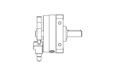 Schwenkantrieb D32 H270