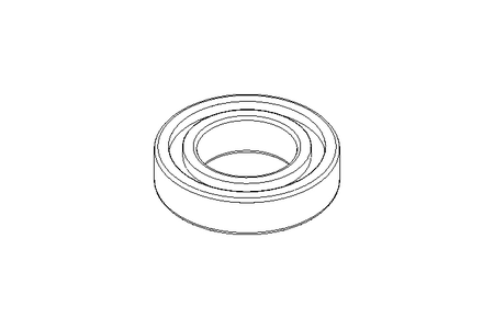 Rillenkugellager 6006 RS1 30x55x13