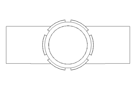 Schaulaterne DN 50