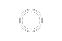 Schaulaterne DN 50