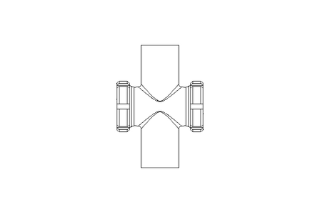 Schaulaterne DN 50