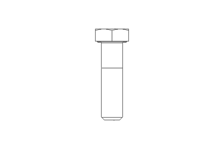 Tornillo cab. hexag. M12x45 A2 70