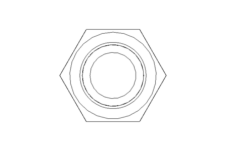 Tornillo cab. hexag. M20x100 A2 70