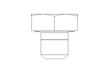 Tornillo cab. hexag. M10x10 8,8 ISO4017